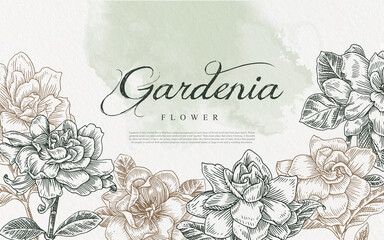 seamless gardenia flower line art illustration hand drawn