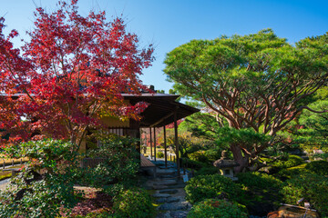 京都　城南宮の紅葉　室町の庭