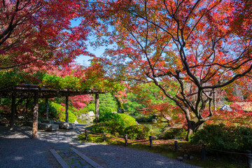 京都　城南宮の紅葉　室町の庭