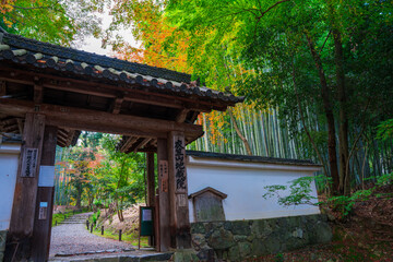 京都　竹の寺地蔵院の山門と竹林　紅葉