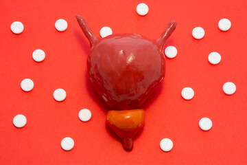 Concept photo of pain in the bladder or prostate, pain during urination, spasm of the urinary tract...