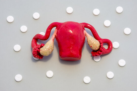 Anatomical model of female uterus with ovaries is on gray background with white tablets around, forming ornament in polka dots. Concept art photo for use in gynecology, women reproductive health