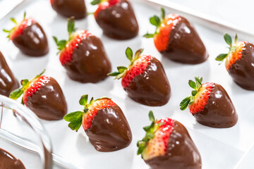 Chocolate dipped strawberries