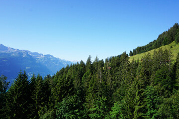 Landschaft in der Nähe vom Rothorn in der Schweiz mit Bergen und Wald.