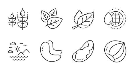 Gluten free, World water and Leaf line icons set. Sea mountains, Brazil nut and Organic tested signs. Cashew nut, Hazelnut symbols. Bio ingredients, Aqua drop, Nature leaves. Nature set. Vector