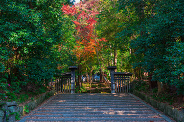 京都　法然院の紅葉
