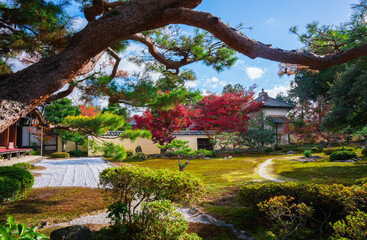 Obraz premium 京都 鹿王院の紅葉