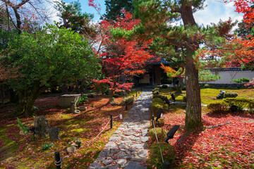 Fototapeta na wymiar 京都　鹿王院の紅葉