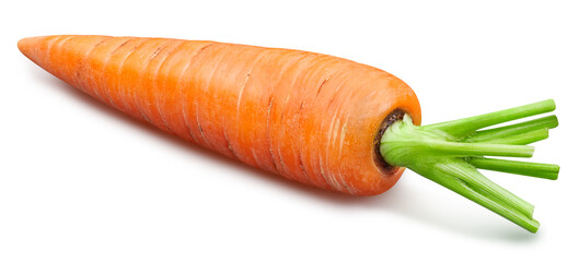 Ripe whole carrot vegetable isolated