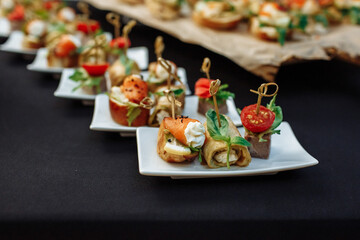 Festive Buffet. An assortment of cold cuts and canapes on wooden skewers. Cocktail reception at the party. catering with meats, fruits, cheeses and sandwiches.