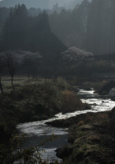 旭日に光る小川