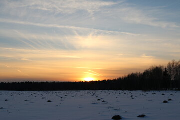snow field in front of the forest in winter. sunset