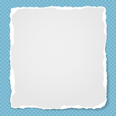 Piece of torn white note, notebook paper stuck on blue squared background. Vector illustration