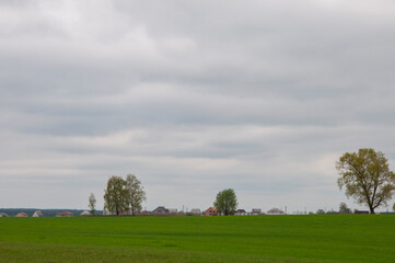 Green field with rural houses and trees in the distance