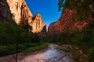 Beautiful view of the virgin river at Zion National Park, in the State of Utah, USA.