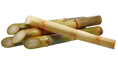 Siingle object of Sugar cane isolated on white background