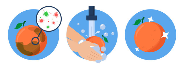 Washing grapefruit concept vector isolated. Dirty fruit full of bacteria before and clean product after washing in the water. Hands wash orange with soap.
