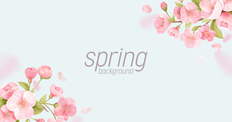 Sakura flowers realistic floral banner. Cherry blossom vector greeting card design. Spring flower illustration - 403204691