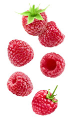 Flying ripe raspberries isolated on white background