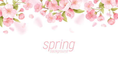 Sakura flowers realistic floral banner. Cherry blossom vector greeting card design. Spring flower illustration © wooster