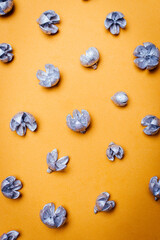 Dried and painted silver leaves on a gold background.