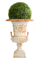 Antique bronze vase with fake decorative bush isolated on white background.
Full depth of field with clipping path.