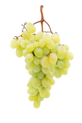 Bunch of grapes isolated on white background.
