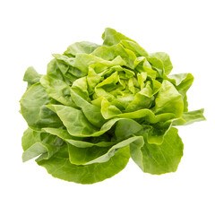 Lettuce isolated on white background.
Full depth of field with clipping path.