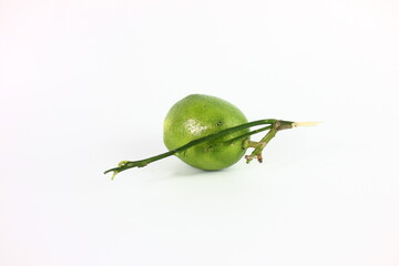 immature lemon in white background