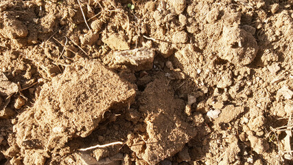 Background of earth and dirt stock photo