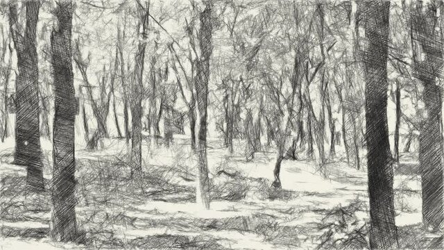 art drawing black and white of forest background