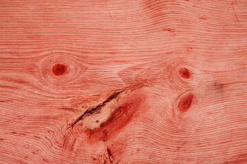 Natural pine wood panels as background