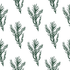 Seamless pattern with green rosemary branch elements. White background. Isolated nature backdrop.