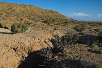 Almaty, Kazakhstan - 06.24.2013 : Shrubs and small trees in a sandy and rocky gorge. The Park Altyn Emel