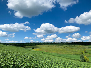 field with blue sky