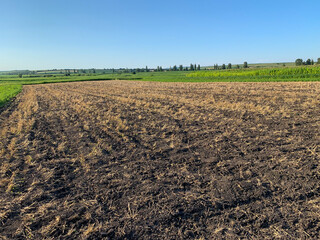 plowed field in summer