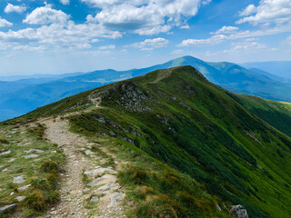 landscape in the summer