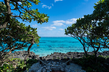 与論島　Yoron island ガーデン