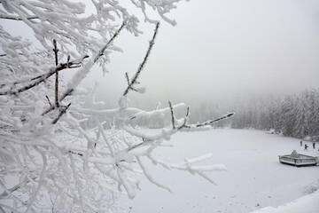 Snow covered tree branches in front of frozen lake Mummelsee in the Black Forest, Germany