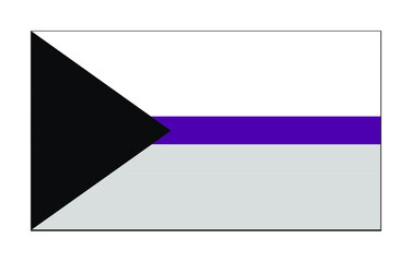 Vector illustration of flat Demisexual pride flag on white background: a black triangle on the right side of canvas, a wide white bar in the top, a thin purple line in the middle and a wide grey bar