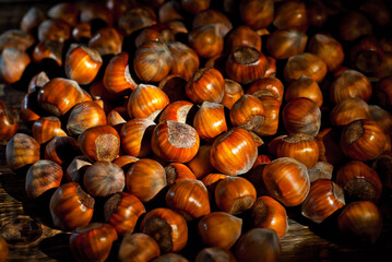 Hazelnuts on a pile close up. Texture of nuts. Contrasting dramatic light as an artistic effect.