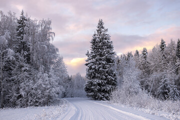 winter landscape of snowy road near the woods covered with snow and hoarfrost on a cloudy day