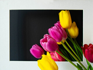 Colorful bouquet of beautiful fresh tulip flowers in light gray frame on black background. Selective focus.