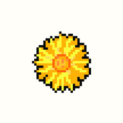 Fototapeta premium Aster flower in pixel art vector illustration