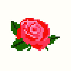Fototapeta premium Rose in pixel art vector illustration