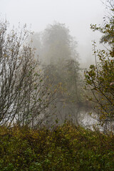 Fototapeta na wymiar Nature Outdoor autumn foggy dust