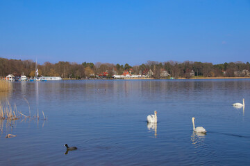 Beautiful view to the Scharmuetzel lake (Scharmuetzelsee), Bad Saarow, Federal State Brandenburg - Germany