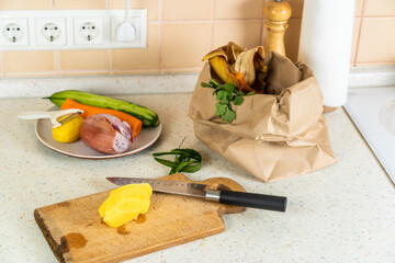 Composting concept - kitchen leftovers in paper bag, copy space