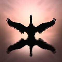 Watercolor illustration of a black swan with a reflection on the water. Silhouette of a bird on a pink sunset. © Kler