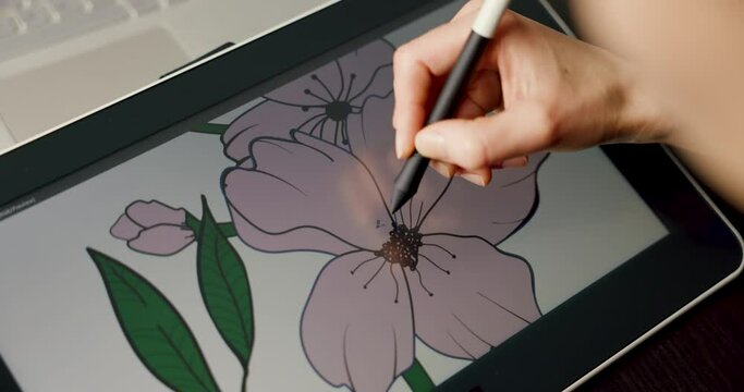 illustrator graphic designer draw flower illustration on digital drawing tablet